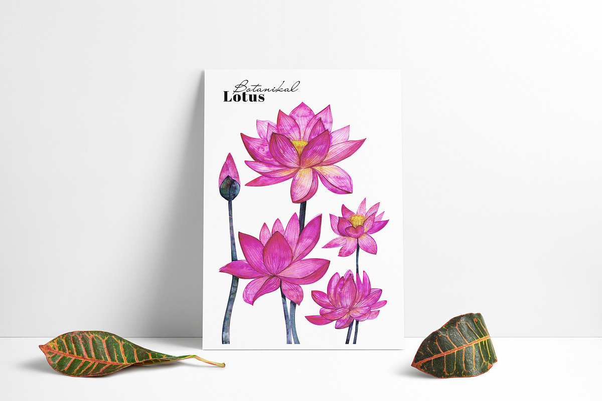Botanical cards collection, a Decorative Illustration by Art AleshkaK (Photo 7 of 8)