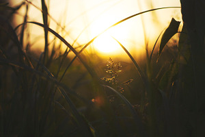 Midwest sunset stock photo containing nature and photography