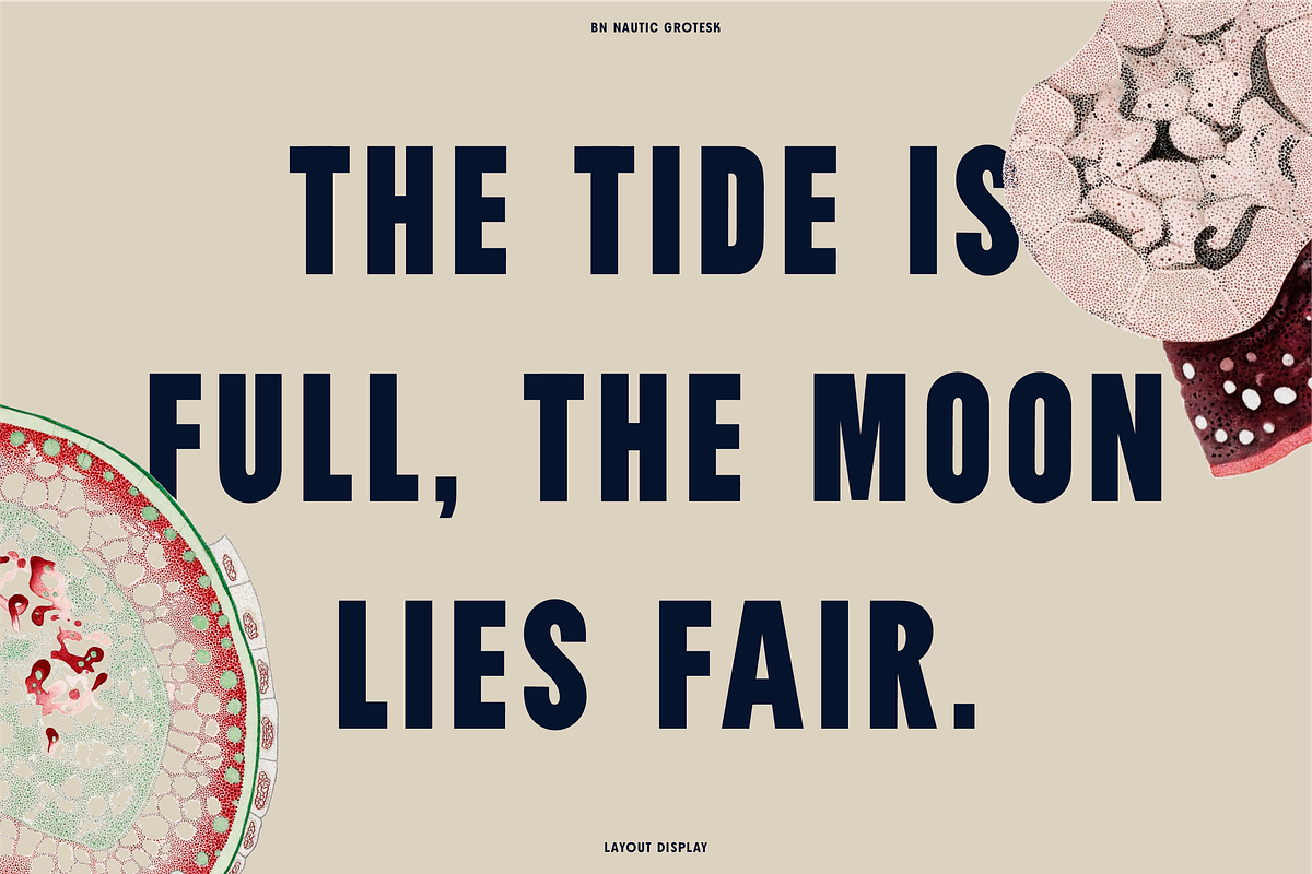 Nautic Grotesk - Modern Display Font, a Sans Serif Font by Bnick (Photo 10 of 12)