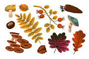 Autumn leaves. Fall set, backgrounds, a Seasonal Illustration by Good Studio (Thumbnail 4 of 13)