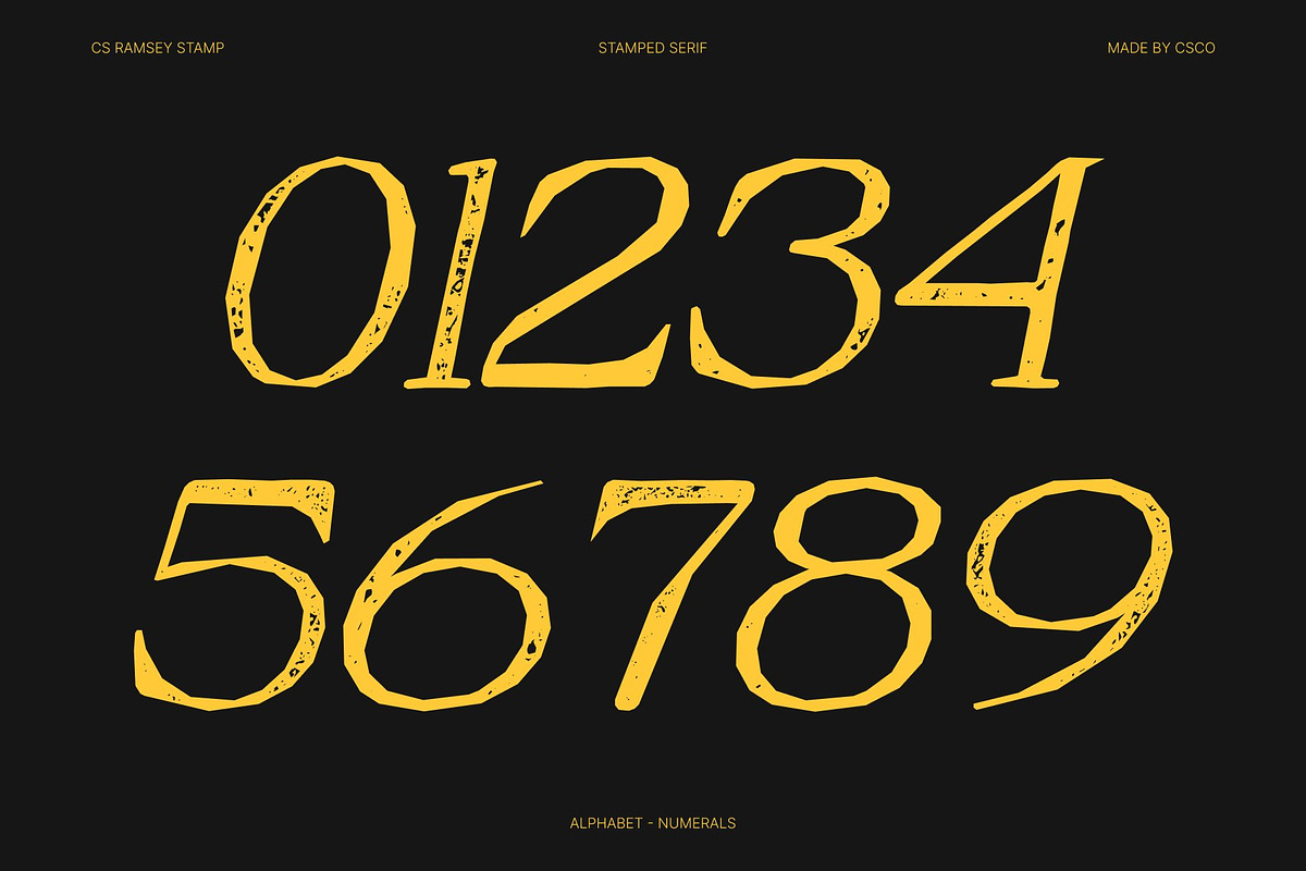 CS Ramsey Stamp, a Serif Font by Craft Supply Co. (Photo 5 of 8)