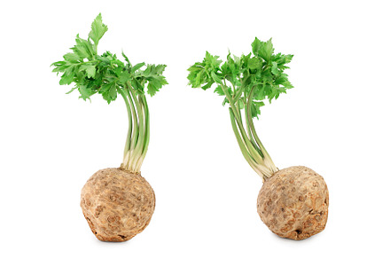 Fresh celery root with leaf isolated, a Food & Drink Photo by NataPhoto