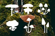 Autumn forest vector bundle, an Animal Illustration by Luamor (Thumbnail 7 of 13)