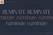 Ruminate - Serif Typeface, a Serif Font by Only Fonts (Thumbnail 1 of 11)