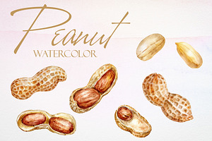 Watercolor Peanut Vector Set, a Pattern Graphic by Deckar_art