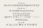 Evolitta, a Serif Font by zamjumps (Thumbnail 10 of 11)