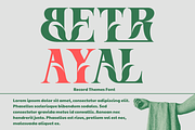 Record Themes - Elegant Font, a Serif Font by 177Studio (Thumbnail 2 of 8)