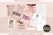 Mini Course Package for Female Coach, a Templates & Theme by bellaROSEworkshop (Thumbnail 5 of 10)