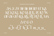 Achroma Editorial, a Serif Font by Megatype (Thumbnail 7 of 9)