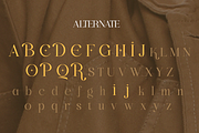 Bigalfia - An Elegant Modern Serif, a Serif Font by Qweera Studio (Thumbnail 11 of 11)