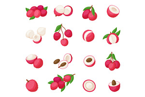 Cartoon lychee. Isolated fruits, a Food Illustration by Valerie Bodnar