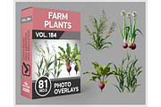 81 Farm Plants Photo Overlays, a Nature Photo by KenScape (Thumbnail 1 of 3)