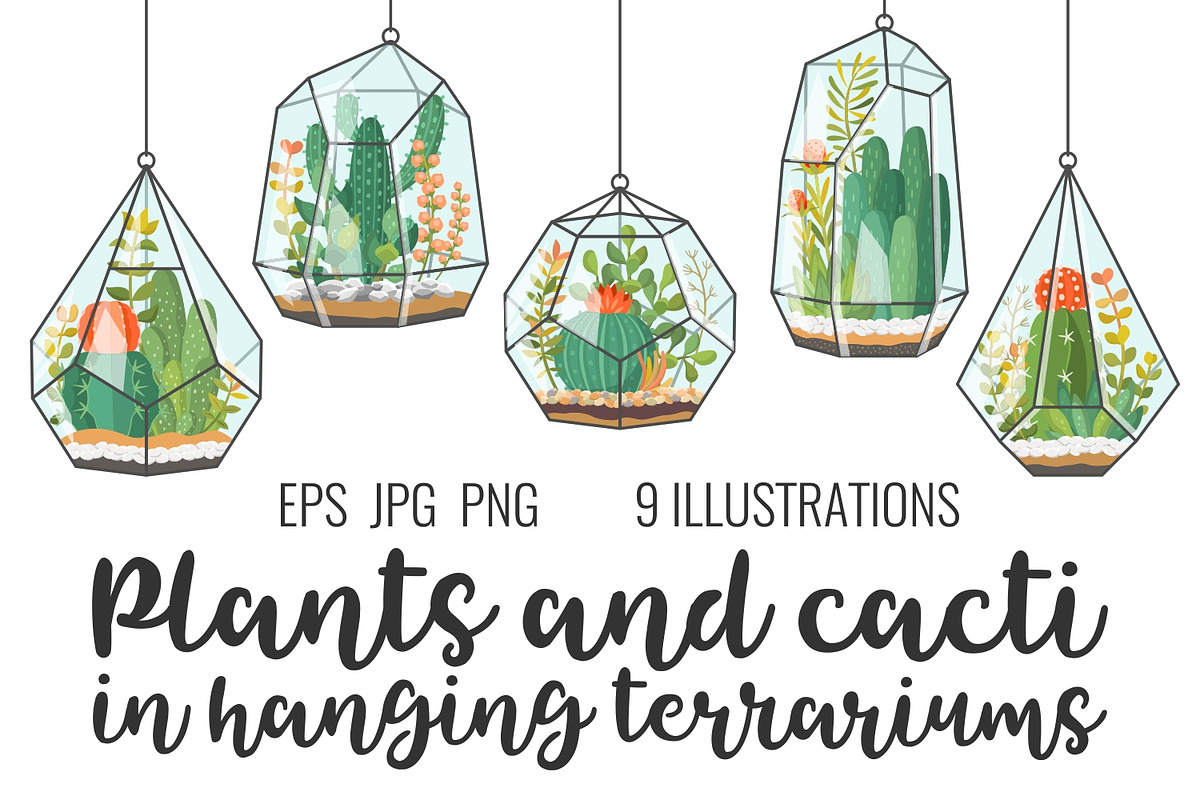 Plants and cacti in terrariums, a Decorative Illustration by Primula`s shop (Photo 1 of 4)