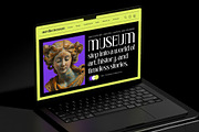 Creative Vision Victorian Display, a Serif Font by timelesstype.co (Thumbnail 2 of 10)