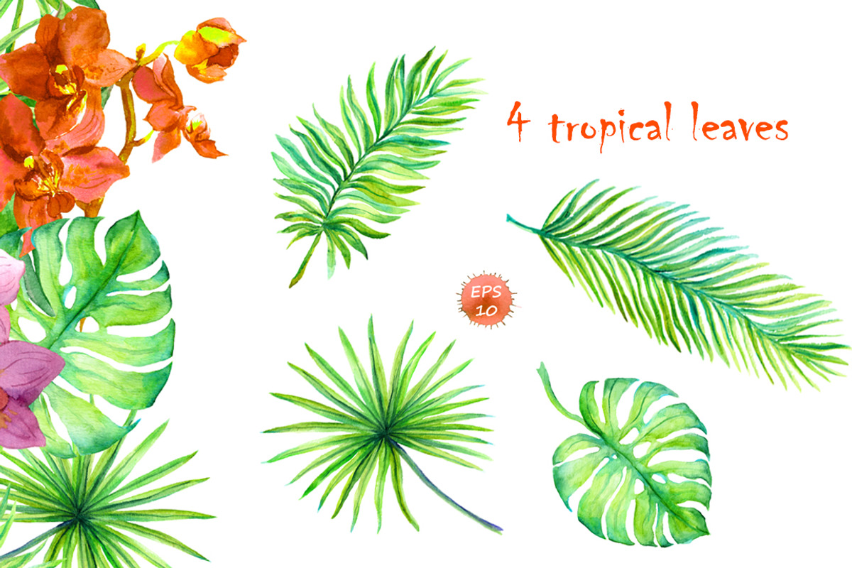 Exotic flowers watercolor clipart, an Animal Illustration by Where summer is (Photo 2 of 7)