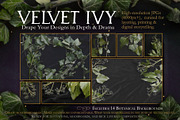 Velvet Ivy – Botanical Backgrounds |, a Background Graphic by Aga Silva (Thumbnail 4 of 9)