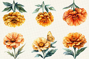 Marigold Flower Bloom Clipart, an Illustration by OK Design (Thumbnail 2 of 5)
