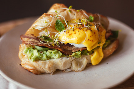 Egg benedict with bacon, micro green sprouts, mashed avocado in croissant. Amer, a Food & Drink Photo by Regina Foster