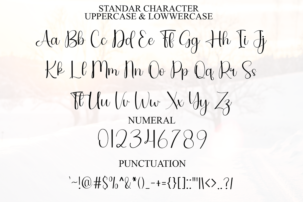 Biscuit, a Handwritten Font by InermediaSTUDIO (Photo 7 of 8)
