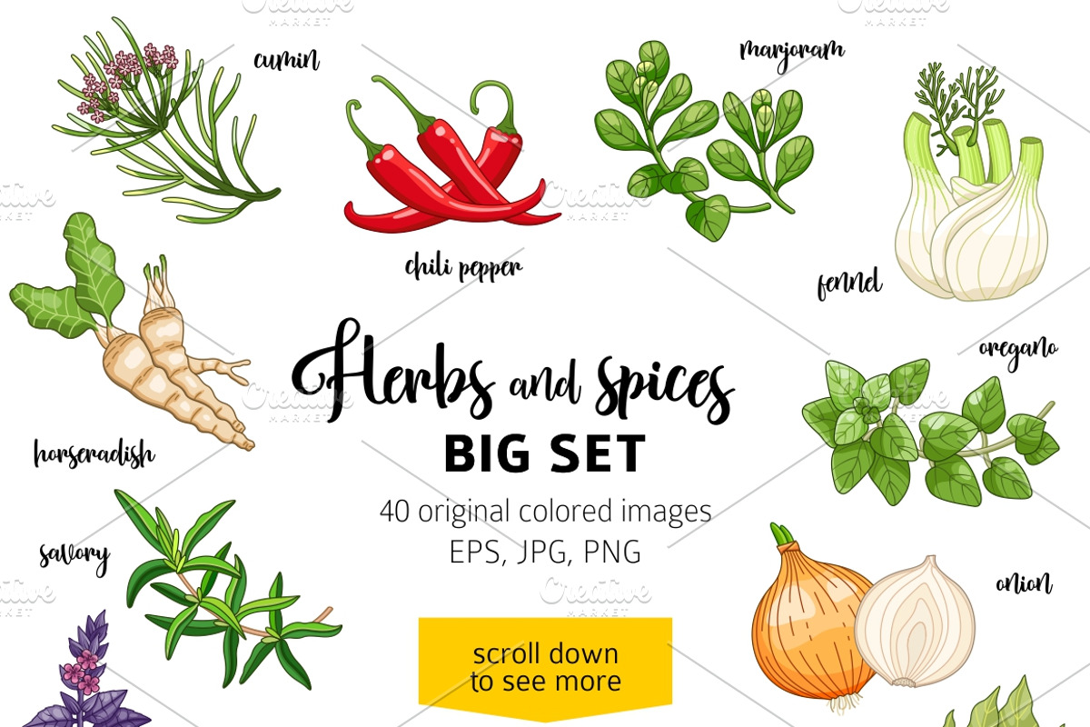 40 colored spices and herbs, a Food Illustration by Primula`s shop (Photo 2 of 2)