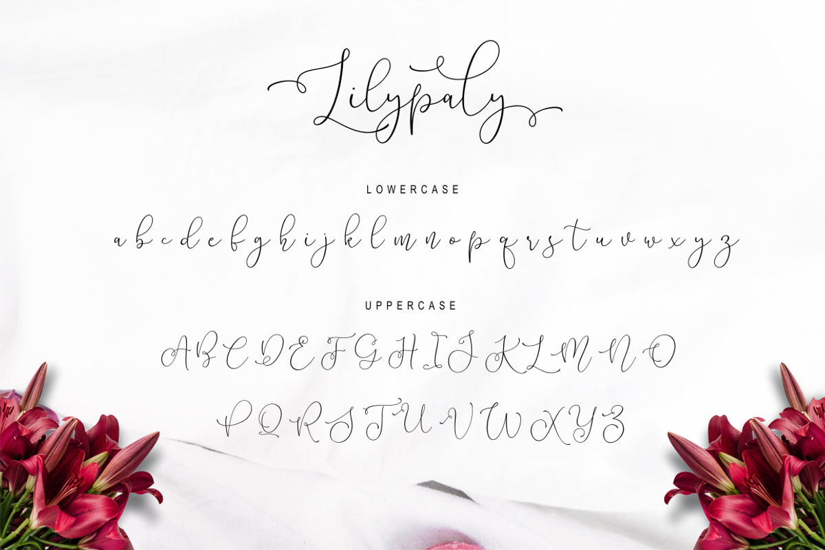 Lilypaly - Handlettering Font, a Script Font by Sronstudio (Photo 14 of 19)