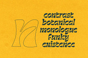 Barbra Display, a Font by nurrontype (Thumbnail 5 of 15)