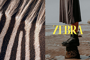 FURther: The Ultimate Fur Collection, a Background Graphic by Anastasiia VNSK (Thumbnail 3 of 12)