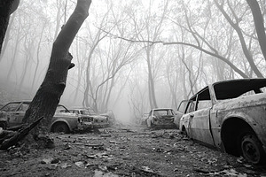 Vehicles abandoned in a foggy forest after a wildfire in a desolate landscape, a Photo by AlyaAnd