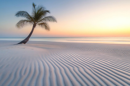 Serenity at sunrise on a tranquil beach with gentle waves and a lone palm tree, a Nature Photo by AlyaAnd
