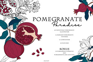 Pomegranate paradise collection, a Pattern Graphic by Aralova Art