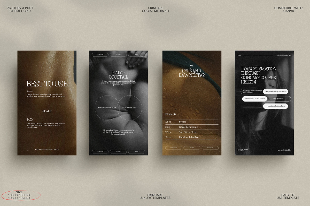 Story and Post Canva Skin Templates preview 2