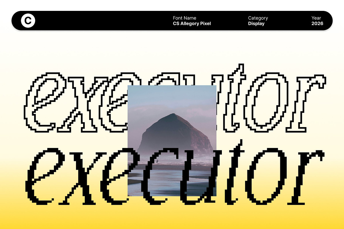 CS Allegory Pixel, a Serif Font by Craft Supply Co. (Photo 4 of 8)