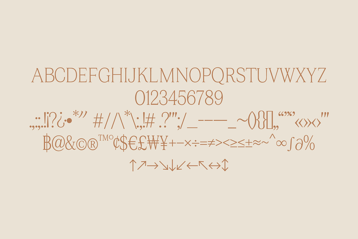 Aurevia Serif contemporary elegance., a Serif Font by kavoon (Photo 19 of 19)