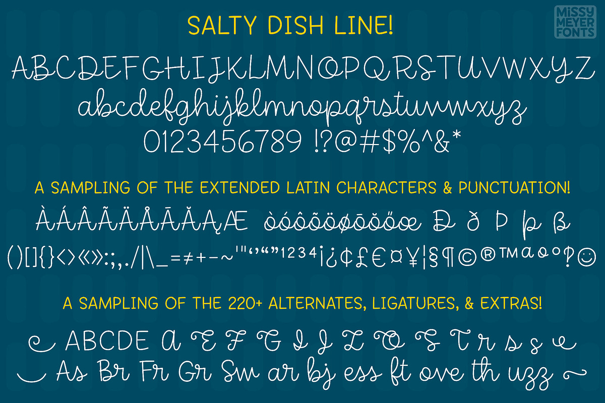 Salty Dish Line - single-line font, a Script Font by Missy Meyer (Photo 7 of 8)