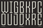 TT Carvist, a Sans Serif Font by TypeType (Thumbnail 15 of 15)
