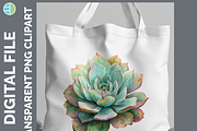 Cactus Succulent Illustration Bundle, an Animal Illustration by Enliven Designs (Thumbnail 2 of 8)