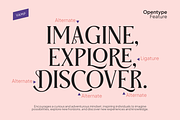 Anger Classic Serif Font, a Serif Font by Vampstudio (Thumbnail 9 of 13)