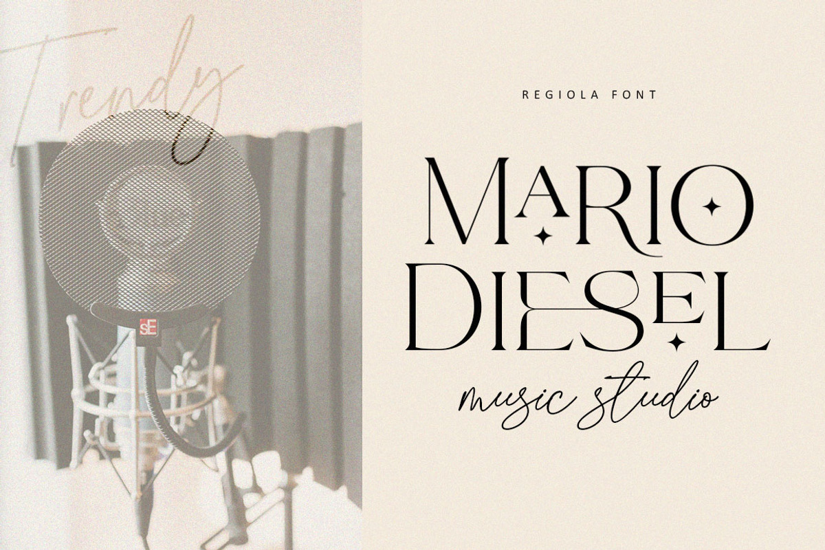 Regiola Font Duo, a Serif Font by Lucky Type (Photo 5 of 14)