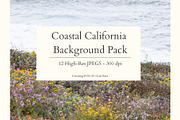 Coastal California Photo Backgrounds, a Background Photo by CreatingYOU.®, Lori Rice (Thumbnail 1 of 5)