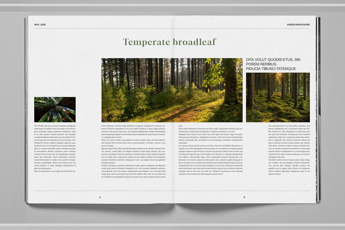 Deep Green Nature Brochure Template, a Brochure Template by Boris Cupac (Photo 5 of 7)