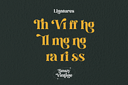 Brasty Vintage - Retro Serif Font, a Serif Font by Holyline Design (Thumbnail 7 of 16)
