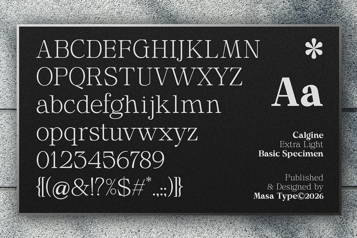 Calgine Serif, a Serif Font by MasaType (Photo 12 of 12)