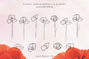 Sketch Pencil Poppy Flowers, an Illustration by Pigment Café (Thumbnail 7 of 8)