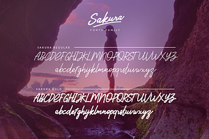 Sakura Font Family 25% OFF