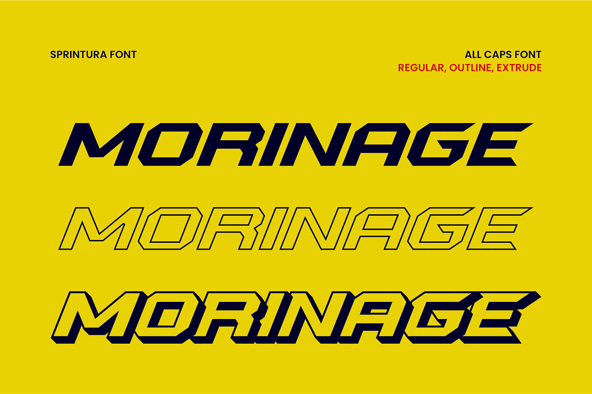 Sprintura, a Sans Serif Font by ahweproject (Photo 5 of 13)