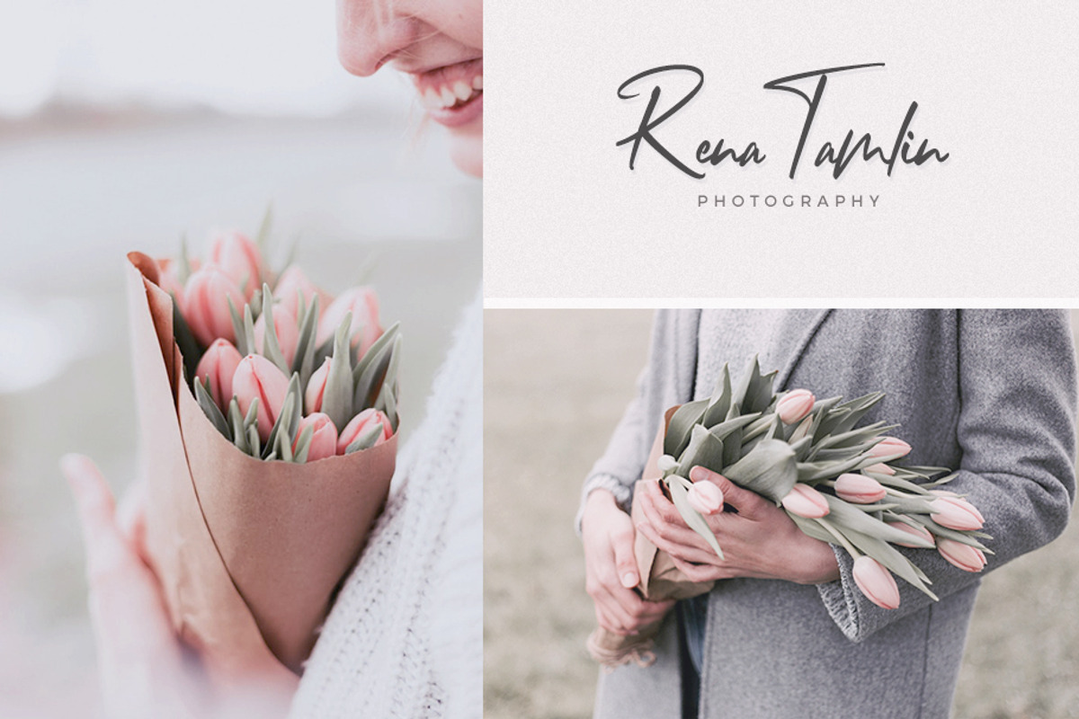 Camelia preview 3