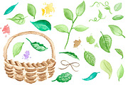 Watercolor Fruits & Veggies, a Graphic by Foxtail Pine Studio (Thumbnail 3 of 4)