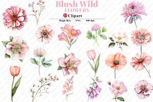 Watercolor Blush Wild Flowers, an Illustration by Watercolor design