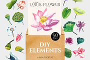 Lotus Flower, Water Lily Elements, an Illustration by Mia Digital (Thumbnail 5 of 5)