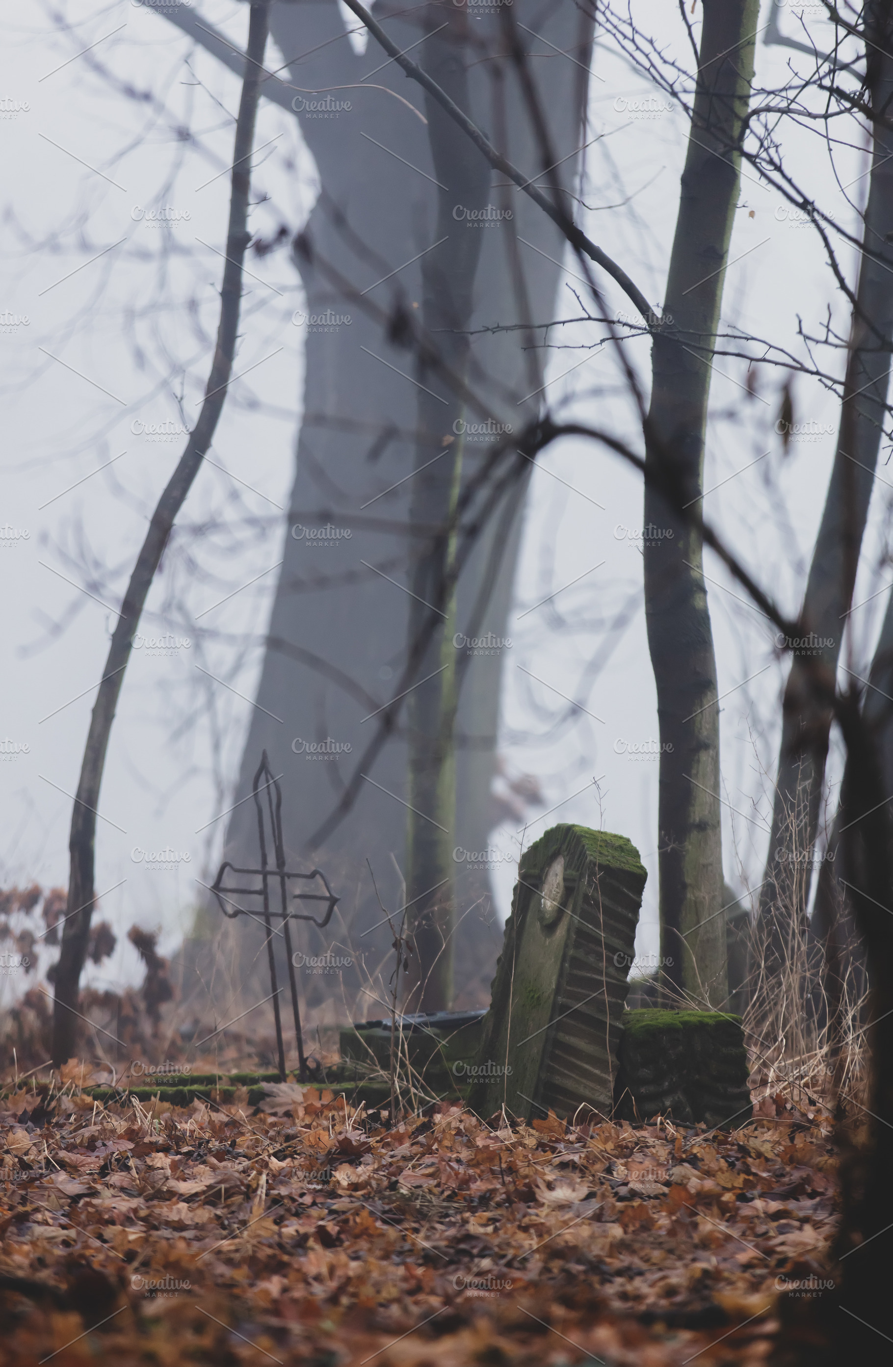 old abandoned cemetery during fog in autumn, a Nature Photo by Masson Simon